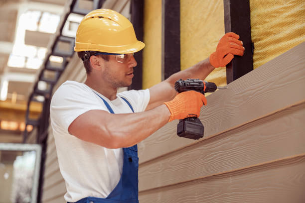 Best Insulated Siding Installation  in Davis Junction, IL